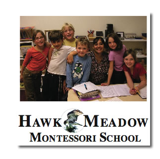 Hawk Meadow