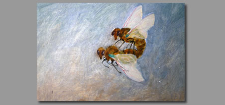Bees
