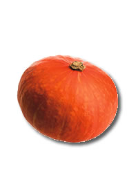 fall pumpkin