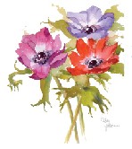 Betsy Jacaruso Studio